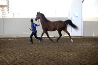 R318_SunAM_6075