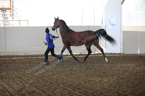 R318_SunAM_6075