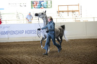 Class 255 Reg 3 HA/A Mare Breeding Championship 2 yrs over AOTH