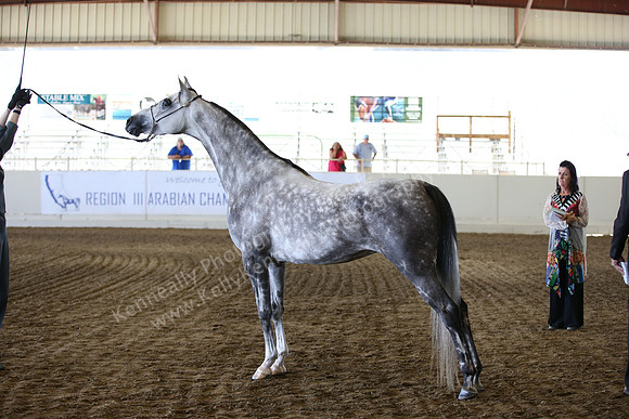 R318_SunAM_6198