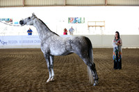 R318_SunAM_6199