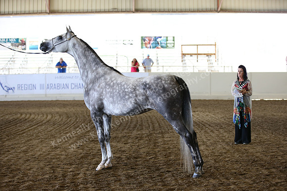 R318_SunAM_6199