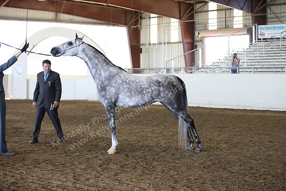 R318_SunAM_6196