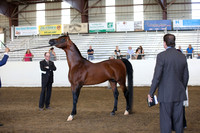 R318_SunAM_6250