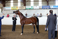 R318_SunAM_6251