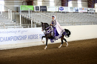 Class 262 Reg 3 HA/Aa Mounted Native Costume Championship