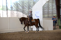 Class 264 Reg 3 Arabian Western Pleasure Championship JTR 18 yrs & Under