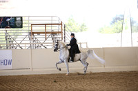 Class 266 Reg 3 HA/AA Country English  Pleasure Championship AATR Select