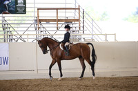 R318_SunPM_6867