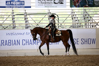 Class 268 Reg 3 HA/AA Western Pleasure Championship AAOTR1 9-49Yrs