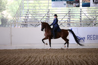Class 269 Reg 3 HA/AA Country English Pleasure Championship JTR 18 yrs & under