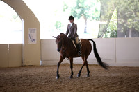 Class 273 Reg 3 Arabian Hunter Pleasure Championship JTR 18 Yrs & Under