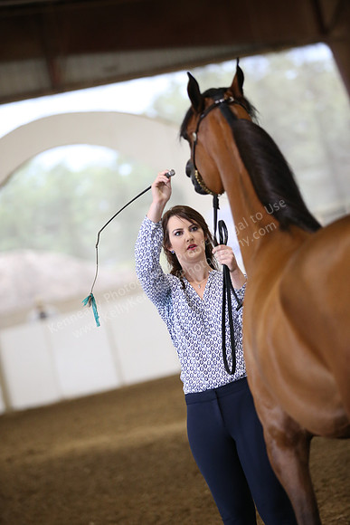 R318_FriAM_Halter_1640