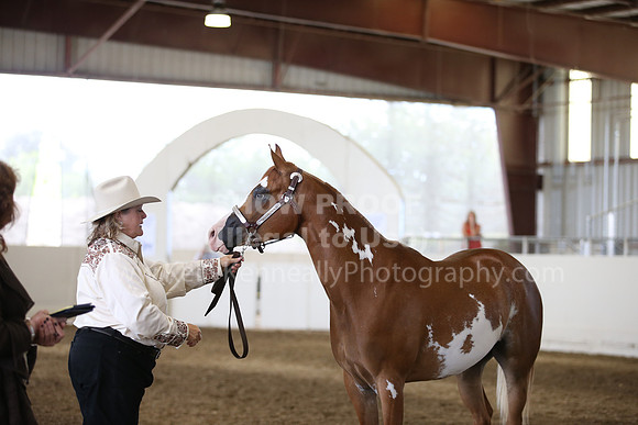 R318_FriAM_Halter_1977