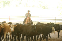 Working Cow
