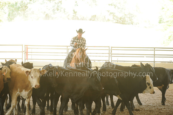 R318_WorkingCow_5534