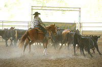 R318_WorkingCow_5537
