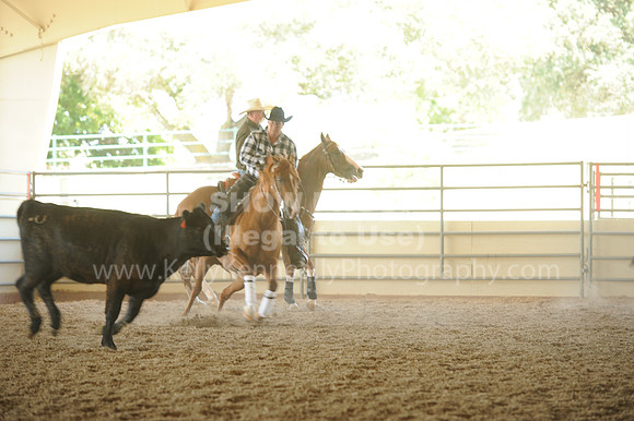R318_WorkingCow_5538