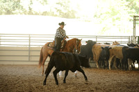 R318_WorkingCow_5539