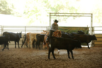 R318_WorkingCow_5540