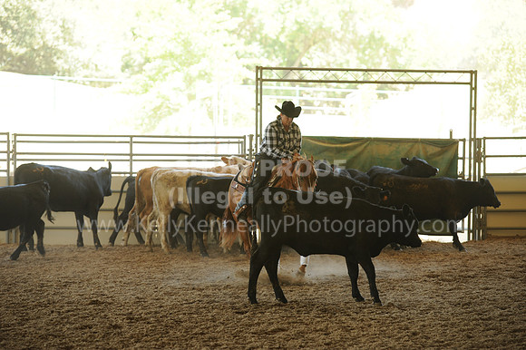 R318_WorkingCow_5540