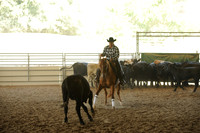 R318_WorkingCow_5541