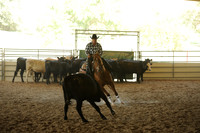 R318_WorkingCow_5543