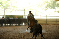 R318_WorkingCow_5545