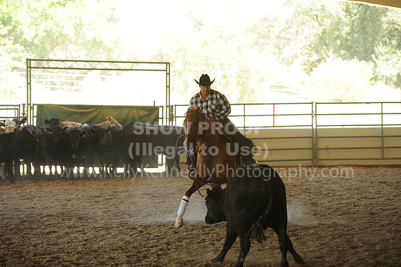R318_WorkingCow_5545