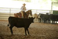 R318_WorkingCow_5547