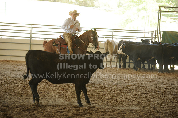 R318_WorkingCow_5547