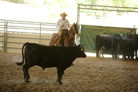 R318_WorkingCow_5548