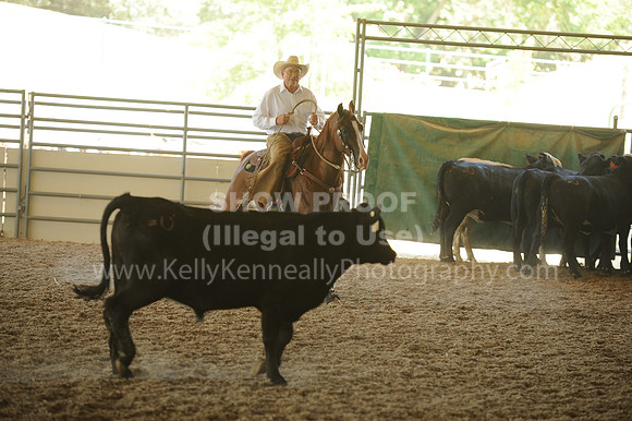 R318_WorkingCow_5548