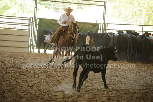 R318_WorkingCow_5549