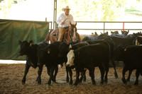 R318_WorkingCow_5550