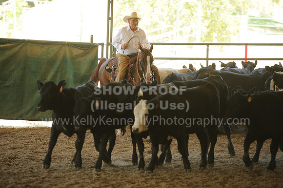 R318_WorkingCow_5550