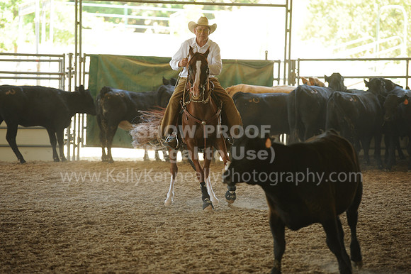 R318_WorkingCow_5551