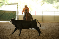 R318_WorkingCow_5552