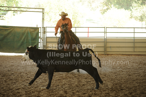R318_WorkingCow_5552