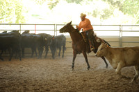 R318_WorkingCow_5553