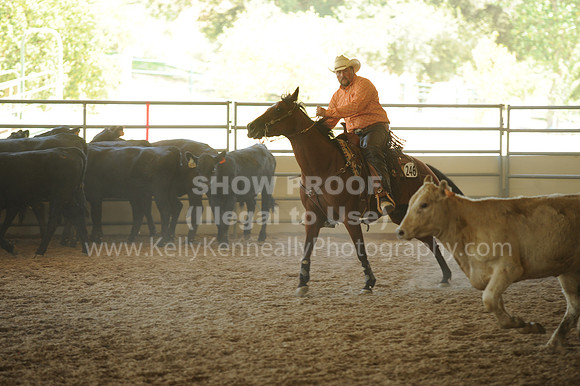 R318_WorkingCow_5553