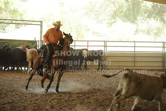 R318_WorkingCow_5556