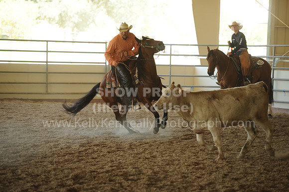 R318_WorkingCow_5557