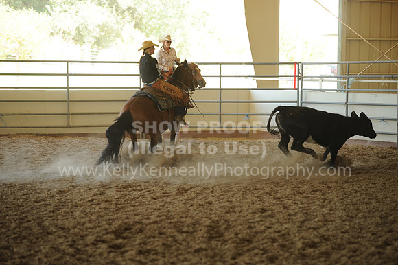 R318_WorkingCow_5558