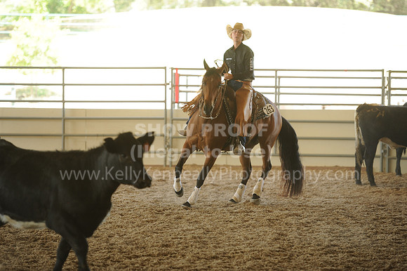 R318_WorkingCow_5559