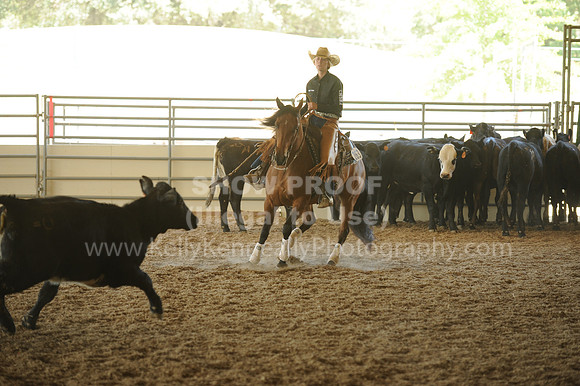 R318_WorkingCow_5560