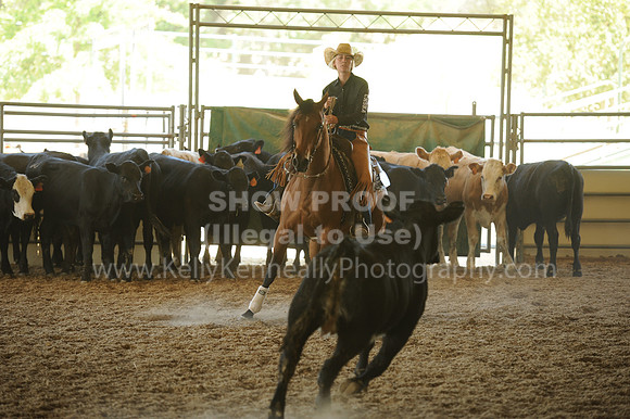 R318_WorkingCow_5561