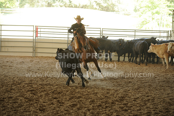 R318_WorkingCow_5566