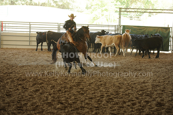 R318_WorkingCow_5568