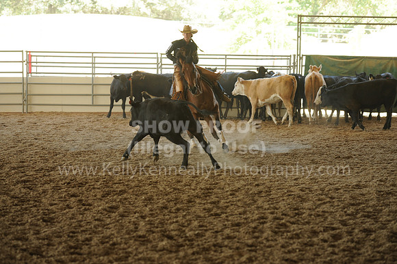 R318_WorkingCow_5569